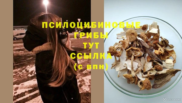 кокаин перу Бородино